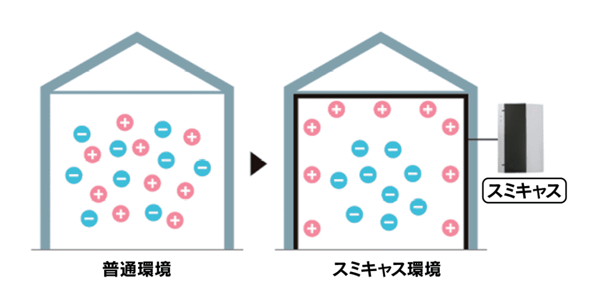 スミキャスの原理